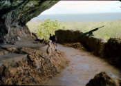 Wilcommen, No. 0116 Dog Runs Across Cave Platform at Last Command Post